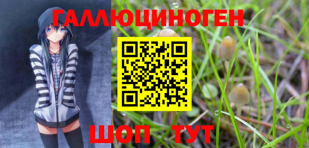Псилоцибиновые грибы мухоморы Медногорск
