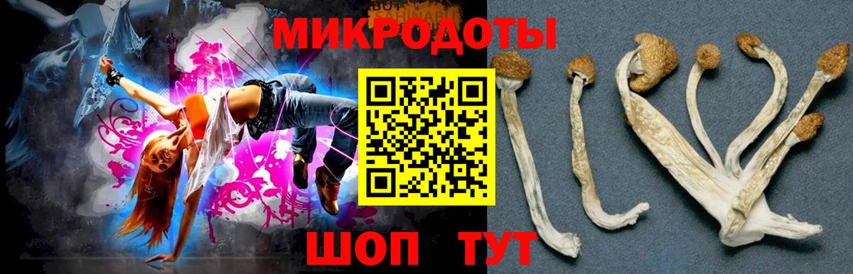 Медногорск  Псилоцибиновые грибы мицелий  Вход с VPN 